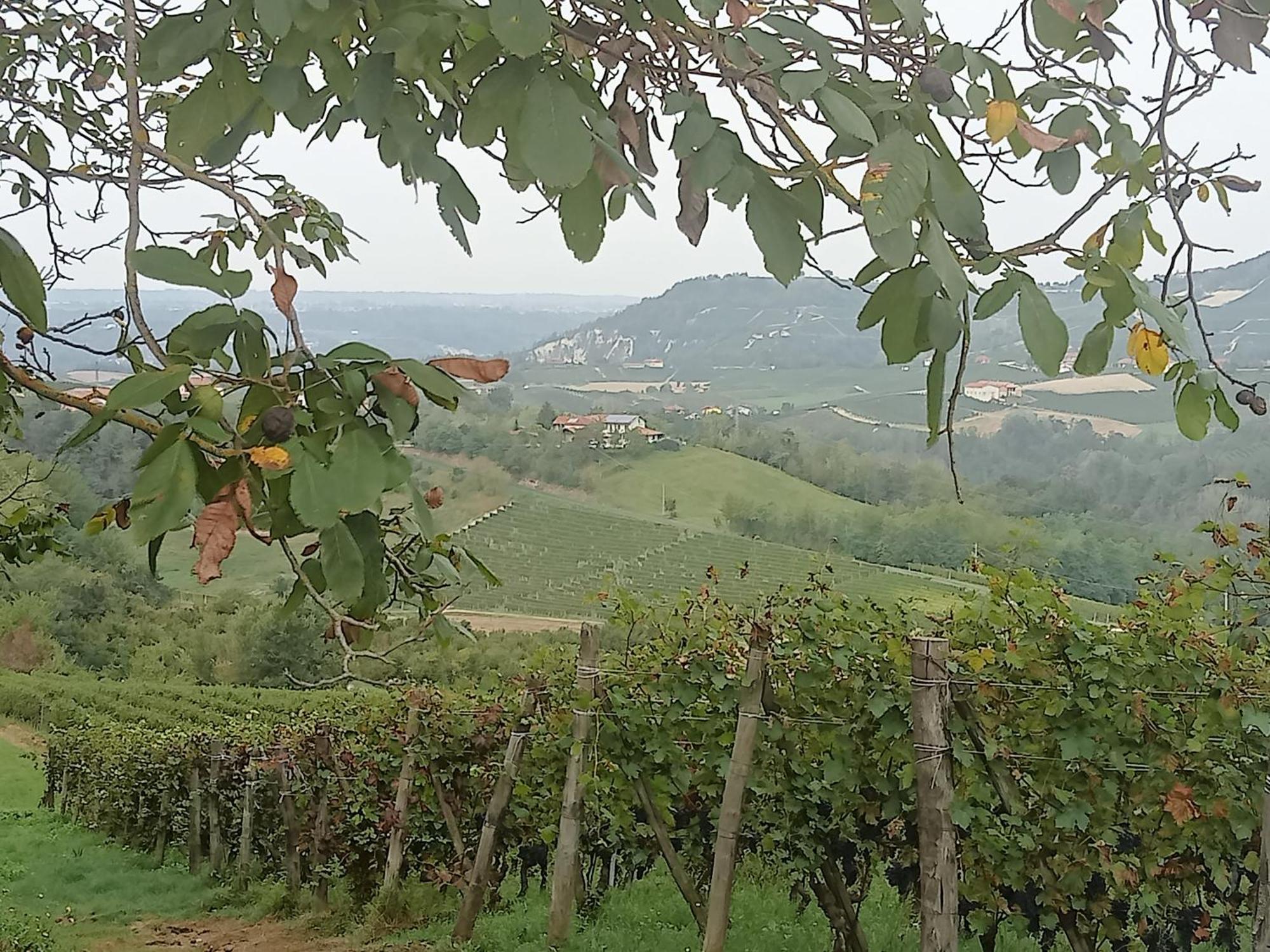 Agriturismo Bric Di Gai Monforte dʼAlba Exterior foto
